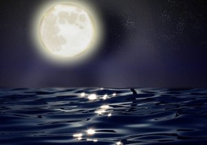 10689875_10152715071384495_1686019445374475124_n